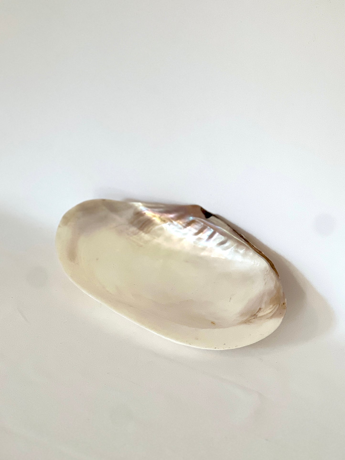 Mother of Pearl Trinket Dish