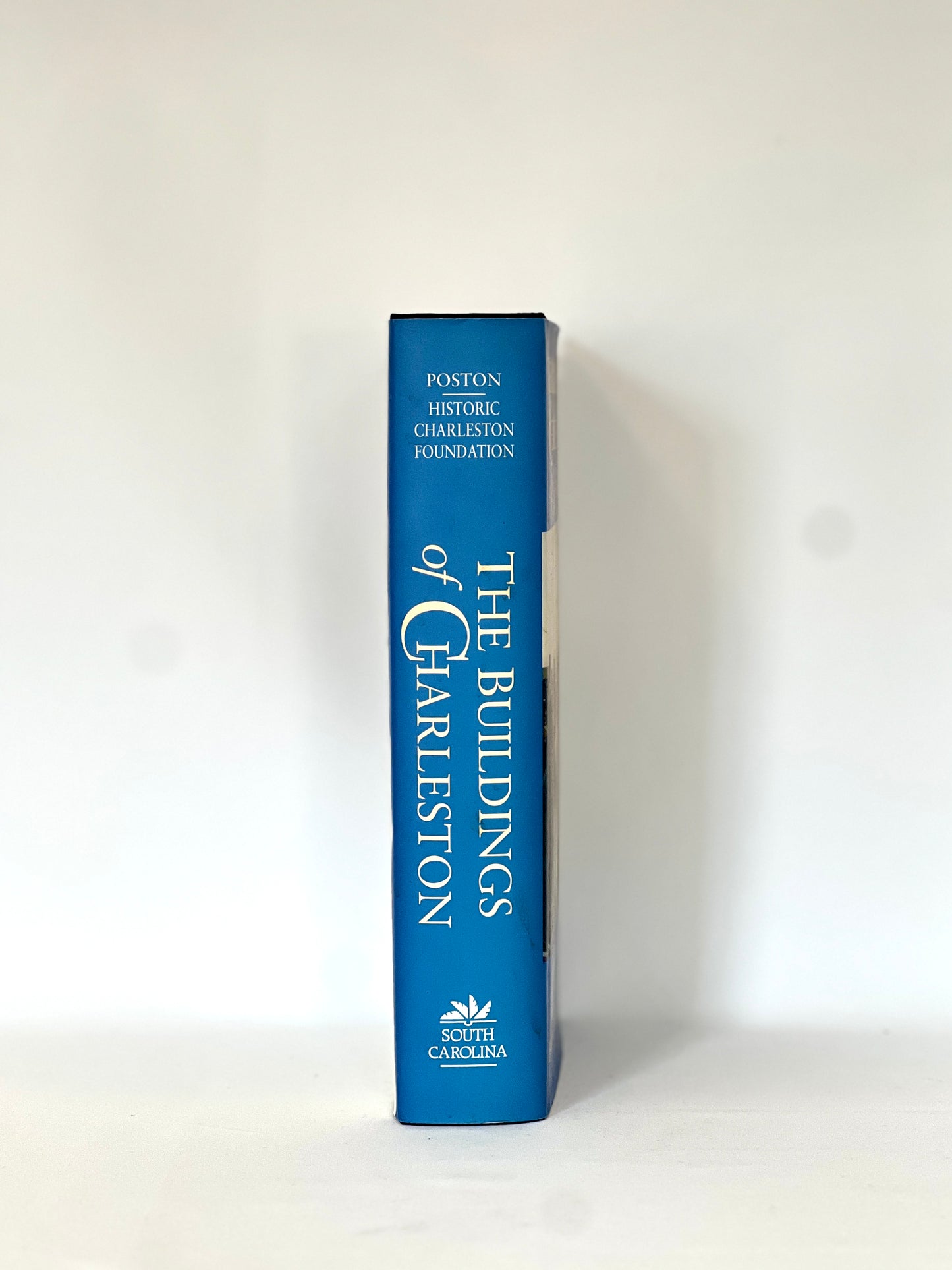 The Buildings of Charleston